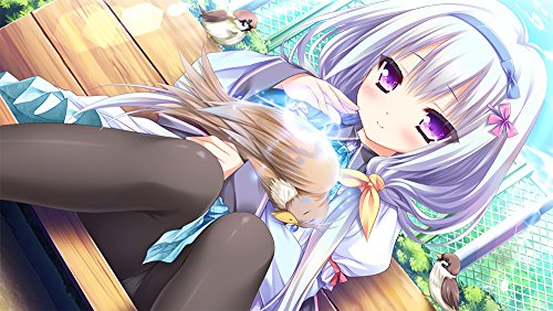 Tayutama 2 -you're the only one- Normal version for Sony PlayStation 4 NEW_4