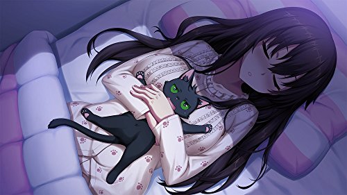 Nintendo Switch Nora Princess and Stray Cat HD w/ DVD, ChaosTCG PR Card NEW_6