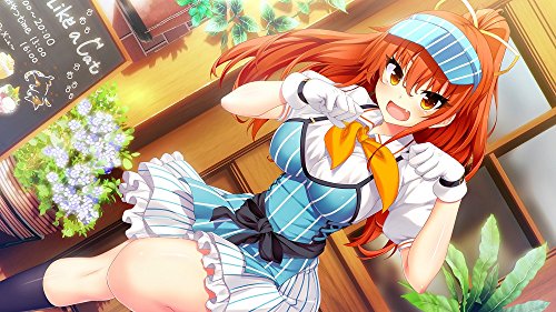 Nintendo Switch Nora Princess and Stray Cat HD w/ DVD, ChaosTCG PR Card NEW_7