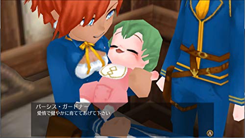 World Neverland Days of Elnera Nintendo Switch Althi NEW from Japan_4