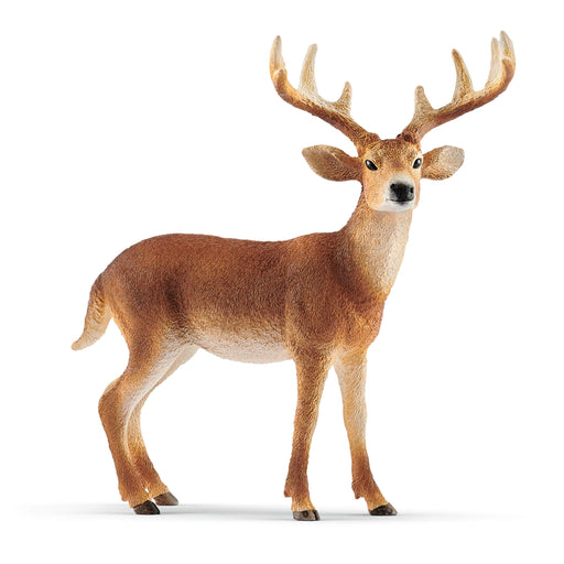 SCHLEICH Wildlife Fallow Deer Chaos Figure 14818 10.5x4.5x10.4cm Real Design NEW_1