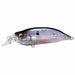 Megabass lure IXI SHAD TYPE-R ghost shad NEW from Japan_1