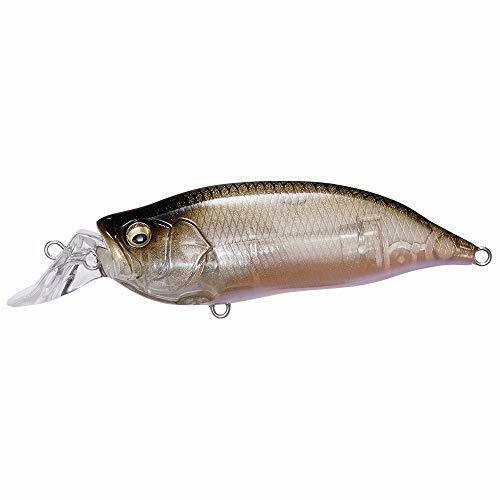 Megabass Lure IXI Shad Type-R Imae classic NEW from Japan_1