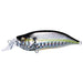 IxI SHAD TYPE-R Sexy Oyabu Shad 2 57mm 1/4oz Megabass NEW from Japan_1