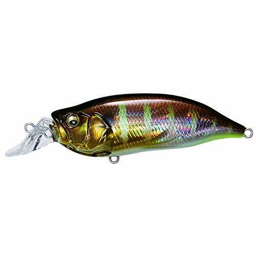 Megabass lure IXI SHAD TYPE-R GG Gil NEW from Japan_1