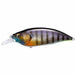 Megabass BIG-M 4.0 GG Wild Gill BM Crankbait NEW from Japan_1