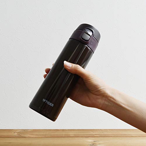 TIGER Magubotoru Chocolate Brown 480ml Sahara MMJ-A481-TC Water Bottle NEW_5