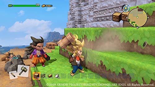 PS4 Game Software DRAGON QUEST BUILDERS 2 PLJM-16125 Block Make Role Playing NEW_6