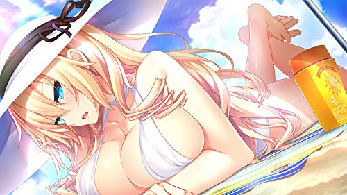 PS4 Game Software Nora Princess and Stray Cat 2 with PR Card PLJM-16310 NEW_3