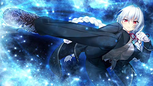 PS4 Game Software Nora Princess and Stray Cat 2 with PR Card PLJM-16310 NEW_4