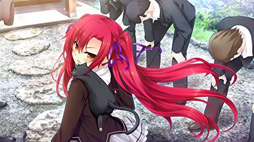 PS4 Game Software Nora Princess and Stray Cat 2 with PR Card PLJM-16310 NEW_6