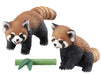Takara Tomy Ania AS-35 Red panda Real Animal PVC Figure Set of 2 w/ Accessories_1
