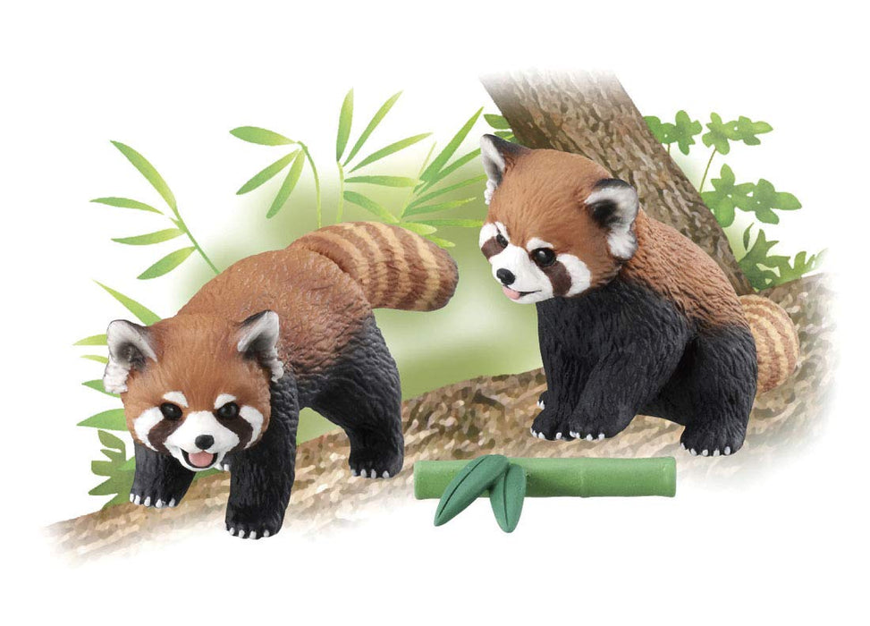 Takara Tomy Ania AS-35 Red panda Real Animal PVC Figure Set of 2 w/ Accessories_2