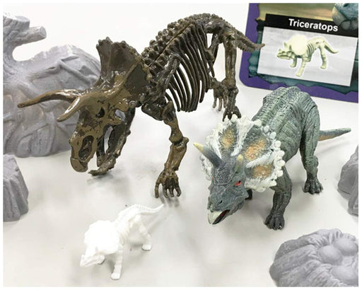 Doyusha Dinosaur Museum AR Triceratops Painted Assembled skeleton Figure Set NEW_2