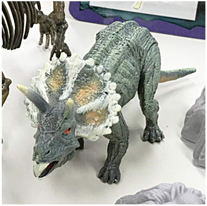 Doyusha Dinosaur Museum AR Triceratops Painted Assembled skeleton Figure Set NEW_3