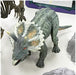 Doyusha Dinosaur Museum AR Triceratops Painted Assembled skeleton Figure Set NEW_3