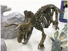 Doyusha Dinosaur Museum AR Triceratops Painted Assembled skeleton Figure Set NEW_4