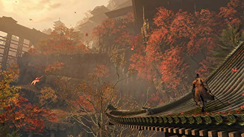 PS4 SEKIRO: SHADOWS DIE TWICE PLJM-16322 Sengoku Action Game NEW from Japan_5