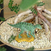 Favorite Fukuisaurus Mini Model Mini Dinosaur Figure FDW-211 NEW from Japan_5