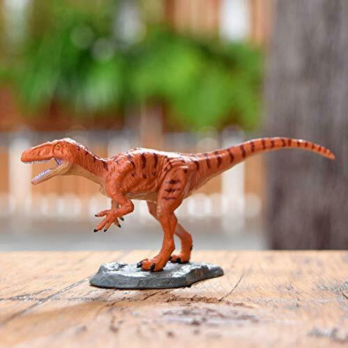 Favorite Kinto Fukui Dinosaur Series Mini model Figure Designed by k.Araki_3