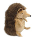 Shinada Global Mochi hari Hedgehog Plush Doll S size with BC Brown MOHR-0168B_2