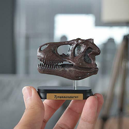 Favorite Dinosaur Skull 12 set Mini model Figure Designed by Hirokazu Tokugawa_4