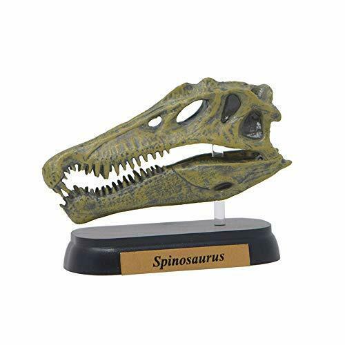 Favorite Spinosaurus Skull  Dinosaur Mini model Figure  Designed by H.Tokugawa_1