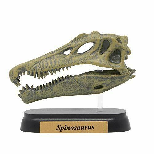 Favorite Spinosaurus Skull  Dinosaur Mini model Figure  Designed by H.Tokugawa_2