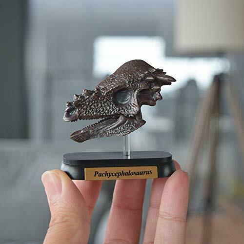 Favorite Pachycephalosaurus Skull  Dinosaur Mini model Designed by H.Tokugawa_4