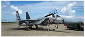 JASDF F-15J Eagle 303rd Tactical Fighter Squadron 2018 Komatsu Memorial Painting_1