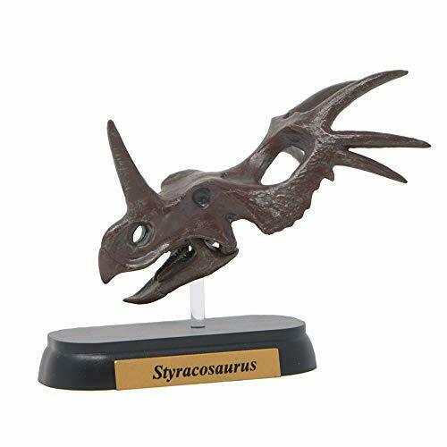 Dinosaur Styracosaurus Skull Mini model (FDW-507) NEW from Japan_1