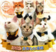 Yell Cat Collar Kubwa Noble Cat Set of 6 Gashapon toys One Size ‎g181020s01 NEW_2