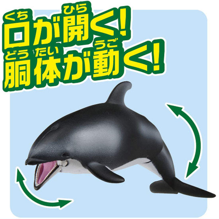 Takara Tomy Ania AS-19 White-sided Dolphin (Floating Ver.) Animal Dinosaur NEW_4