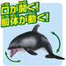Takara Tomy Ania AS-19 White-sided Dolphin (Floating Ver.) Animal Dinosaur NEW_4
