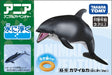 Takara Tomy Ania AS-19 White-sided Dolphin (Floating Ver.) Animal Dinosaur NEW_5