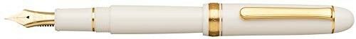 PLATINUM Fountain Pen #3776 CENTURY PNB-13000 #2 Chenonceau White UEF NEW_1