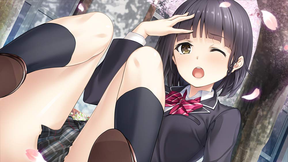 PS4 Game Software Full Kiss Standard Edition PLJM-16378 Love Romance Game NEW_6