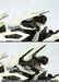 ZOIDS RZ-041 Liger zero marking plus Ver. Total length of about 310mm 1/72 scale_6