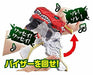 BANDAI Kishiryu Sentai Ryusoulger Transformation Bracelet DX Ryusou Changer NEW_6