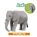 Takara Tomy Ania AA-01 Savannah Animal Gift Set Animal Dinosaur Real Moving NEW_3