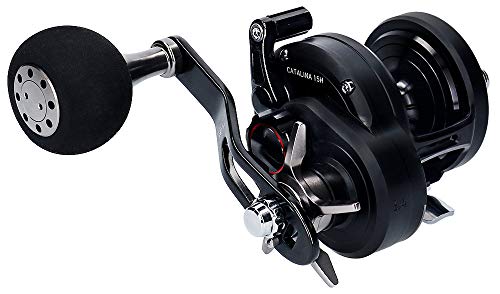 Daiwa Baitcast Reel 19 CATALINA 15H Right Handed Saltwater Reel NEW from Japan_2