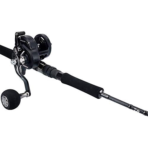daiwa catalina fishing rods Daiwa 19 CATALINA 15 H