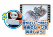 Takara Tomy Plarail Thomas & Friends Nia Ace Go Adventure Set NEW from Japan_4