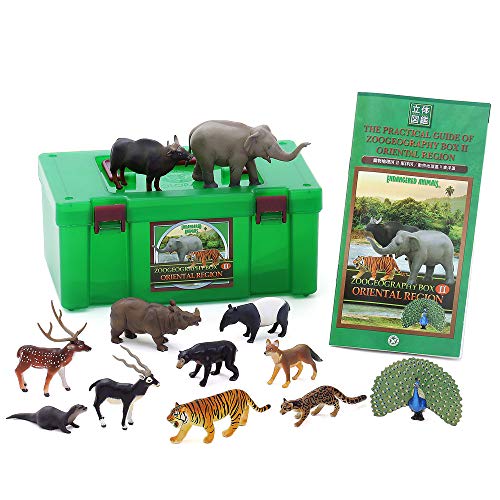 Colorata Endangered Animals Zoogeography Box Oriental Region Real Figu ...