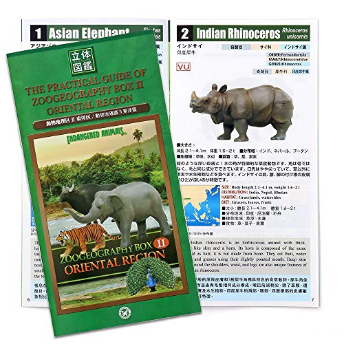 Colorata Endangered Animals Zoogeography Box Oriental Region Real Figure Box NEW_3