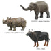 Colorata Endangered Animals Zoogeography Box Oriental Region Real Figure Box NEW_6