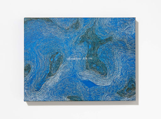 Sakanaction 834.194 First Limited Edition 2 CD+Blu-ray Deluxe Package VIZL-1590_1