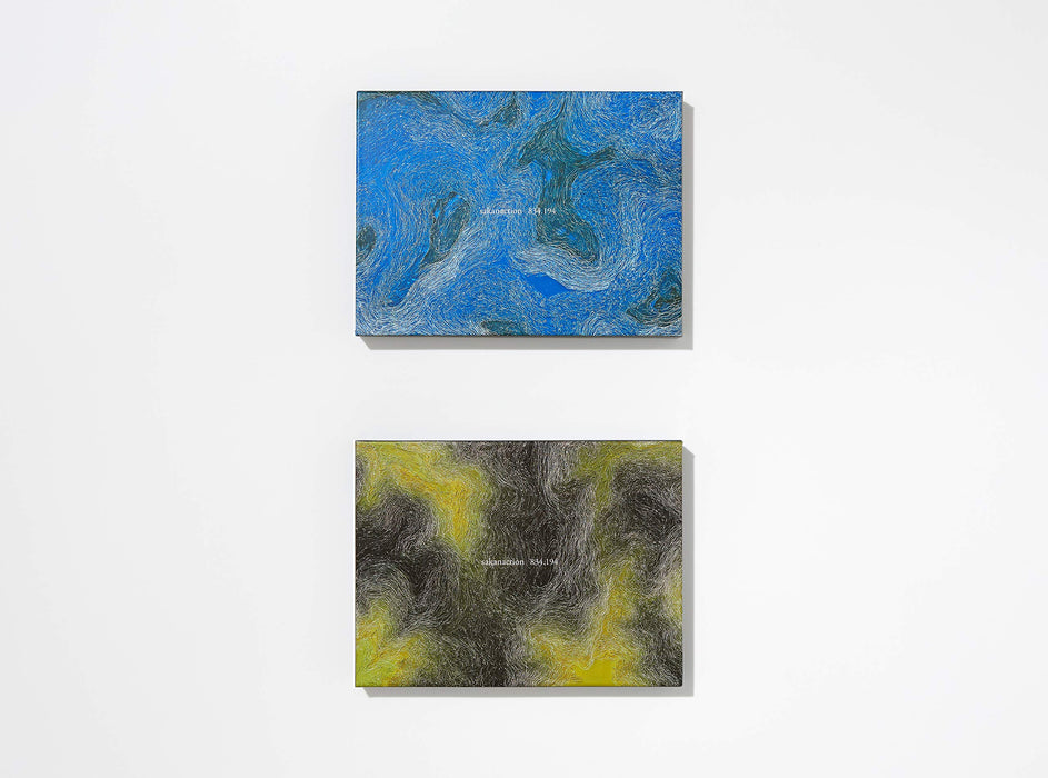 Sakanaction 834.194 First Limited Edition 2 CD+Blu-ray Deluxe Package VIZL-1590_3