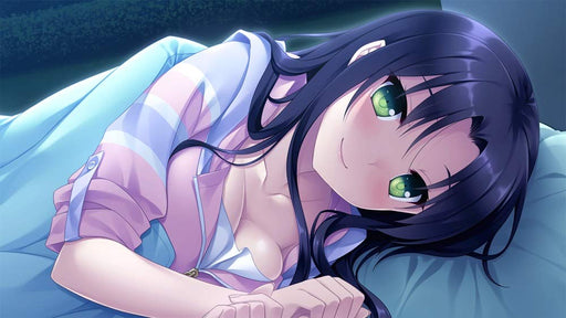 PS4 Game Software Hello Lady Superior Dynamis PLJM-16429 Standard Edition NEW_2