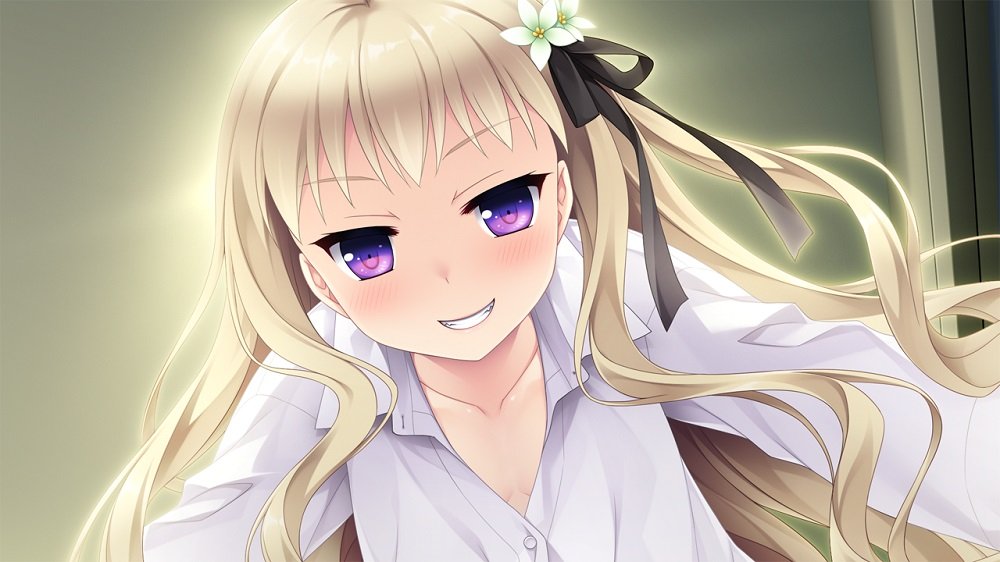 PS4 Game Software Hello Lady Superior Dynamis PLJM-16429 Standard Edition NEW_4